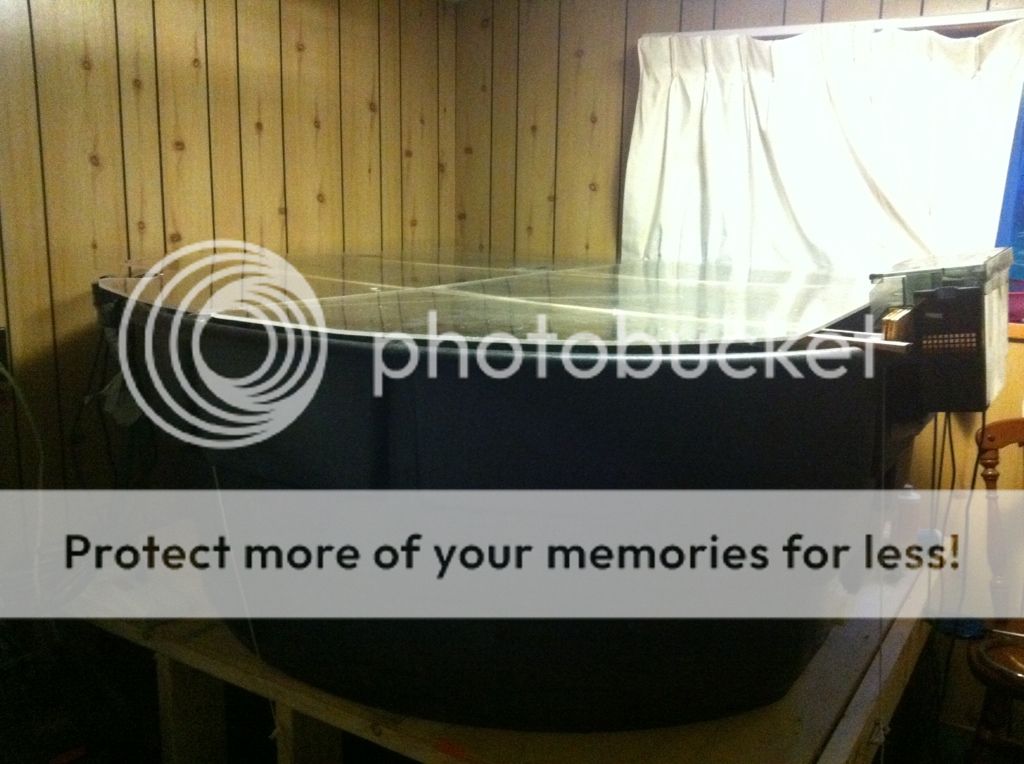 FS 300 gallon Rubbermaid pond like new British Columbia Aquarium Forums