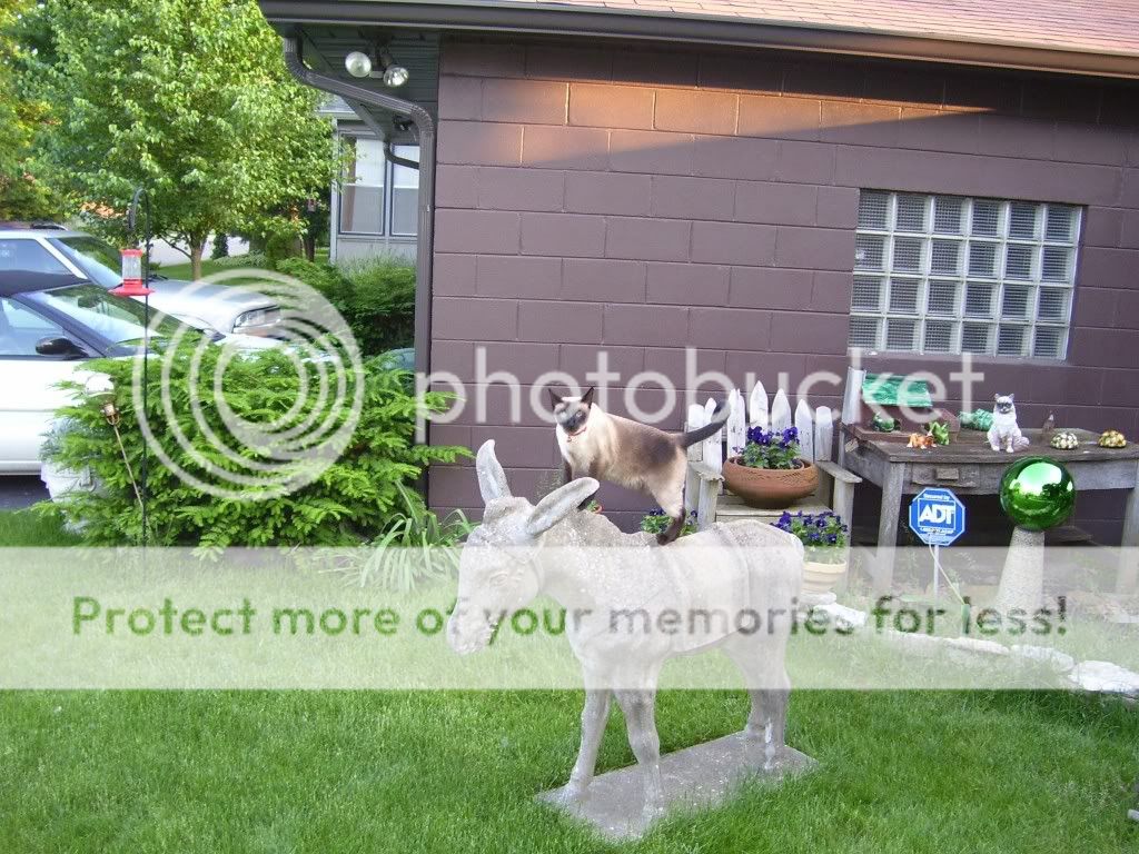 Okie Memorial Area