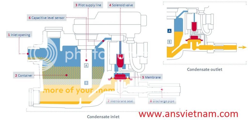 bekomat photo anss_zps41ec6d7d.jpg