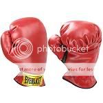 Everlast Boxing Gloves