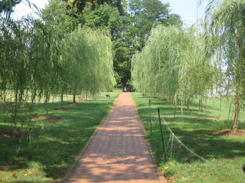 monticello I enjoyed this gorgeous walk yesterday.