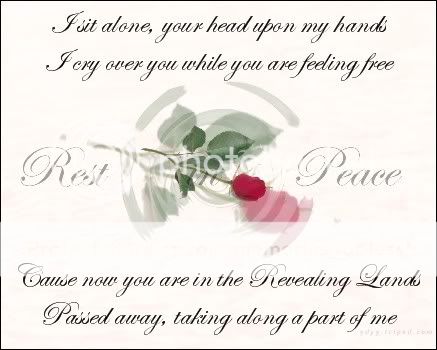 Rest In Peace Poems For A Friend Rest In Peace Rest In Peace Poems For A Friend