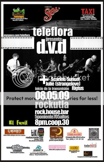 Presentacion TELEFLORA DVD LIVE