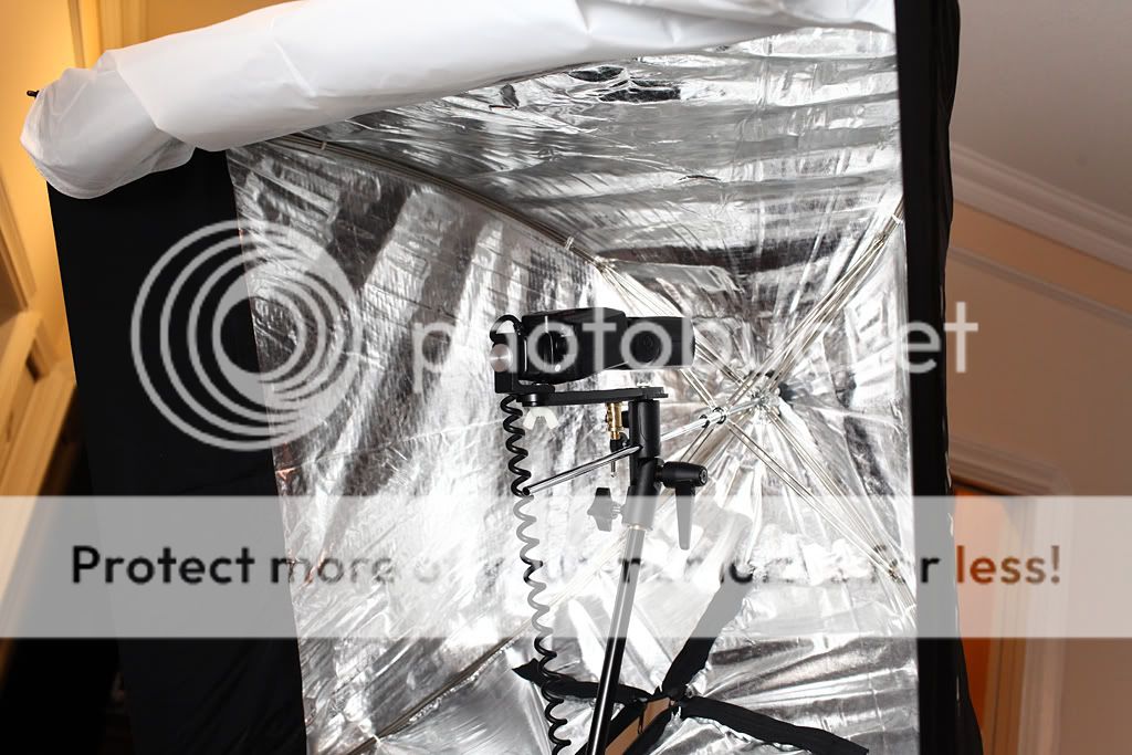 IMAGE: http://i729.photobucket.com/albums/ww300/alan_u/IMG_1927_1024.jpg