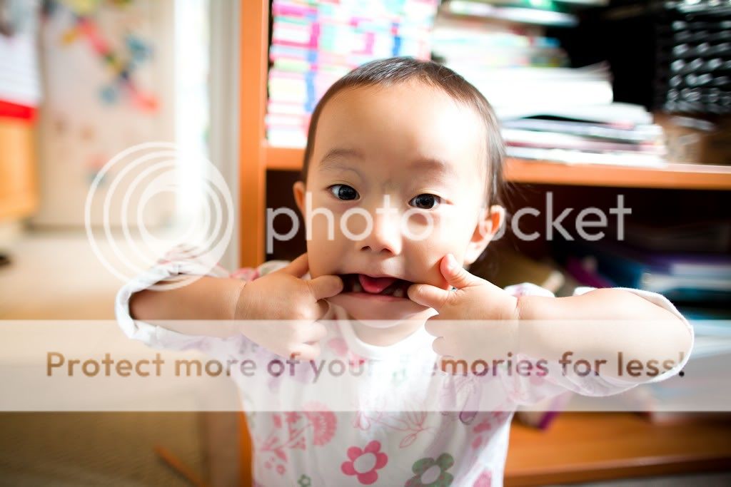 IMAGE: http://i729.photobucket.com/albums/ww300/alan_u/IMG_2955.jpg