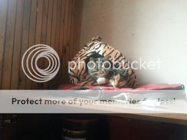 user posted image