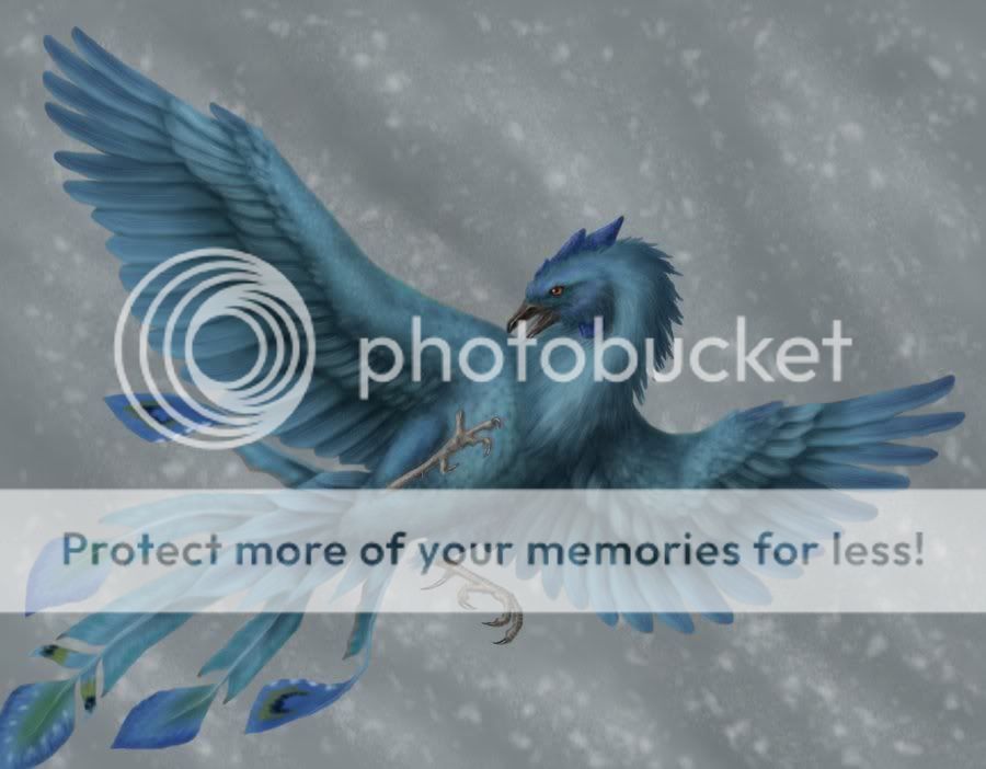 Ice Phoenix Photo by chasedavisrocks1 Photobucket