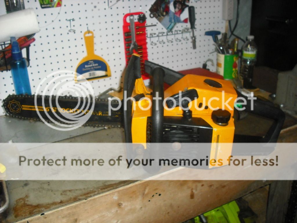 McCulloch Timber Bear | Page 7 | Arboristsite.com