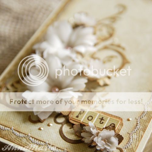 photo Photobox001c_zps46cda530.jpg