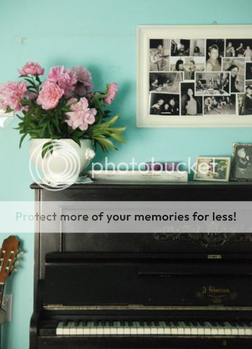 photo Week001a_zps0df9cd37.jpg